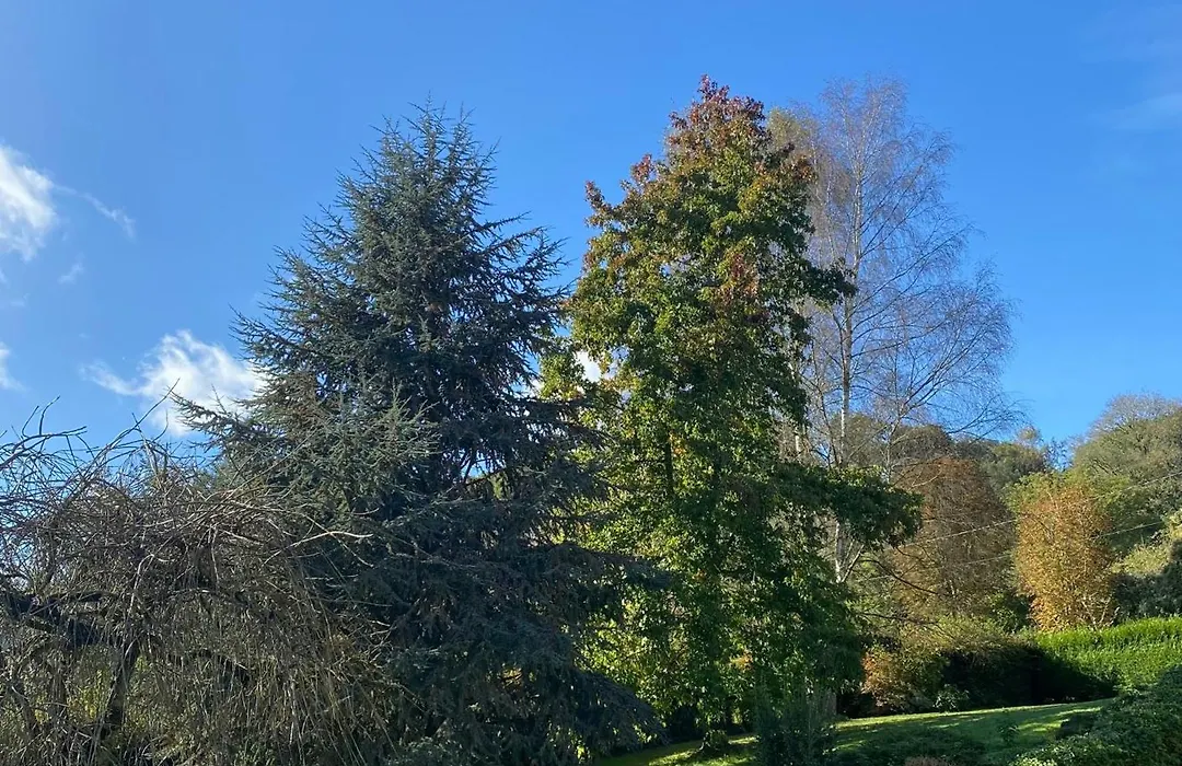 A La Bergerie-1